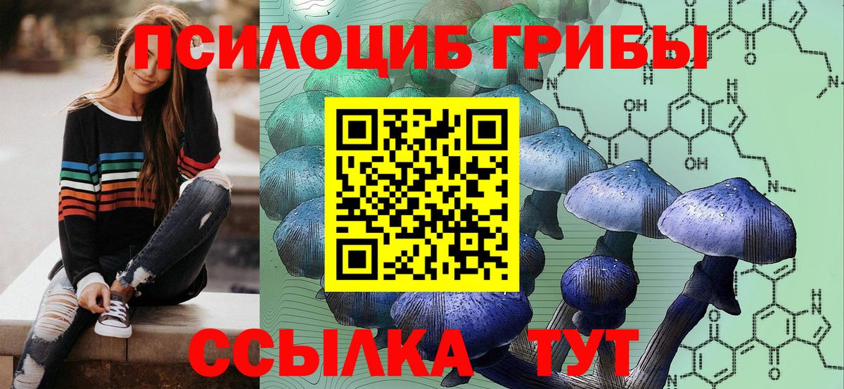 Псилоцибиновые грибы прущие грибы Строитель