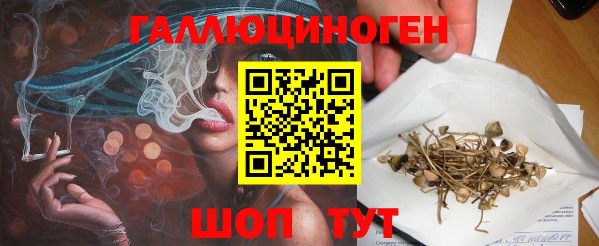 где продают наркотики  Галлюциногенные грибы ЛСД  Вход с VPN  Строитель 